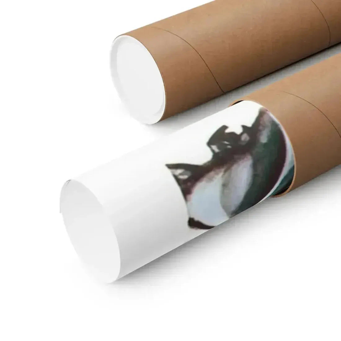 DEVIL GIRL FROM MARS 1954 - Paper Movie Poster - The Sticker Space