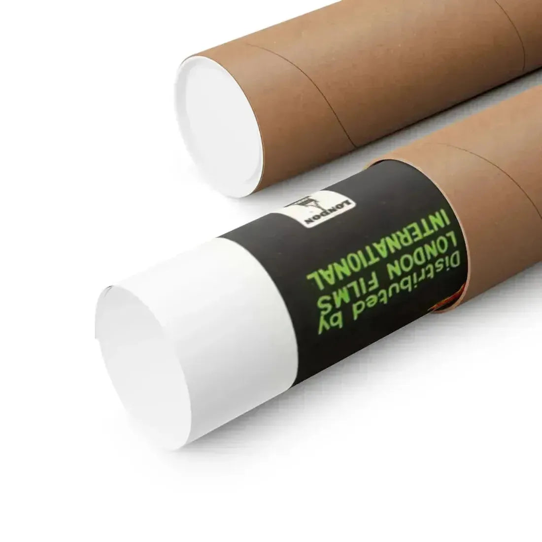 DEVIL GIRL FROM MARS (2) 1954 - Paper Movie Poster - The Sticker Space