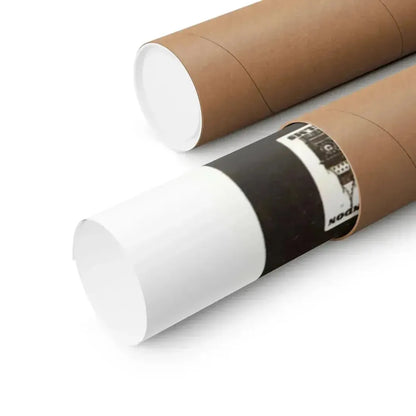 DEVIL GIRL FROM MARS (2) 1954 - Paper Movie Poster - The Sticker Space