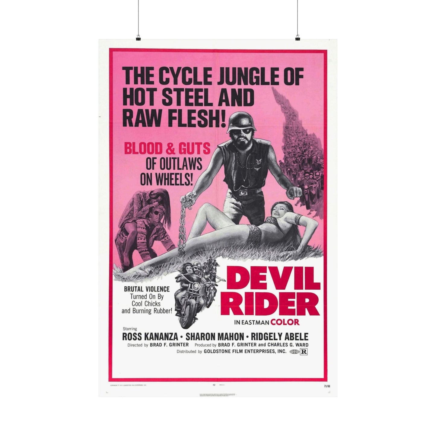 DEVIL RIDER 1970 - Paper Movie Poster-36" x 54"-The Sticker Space