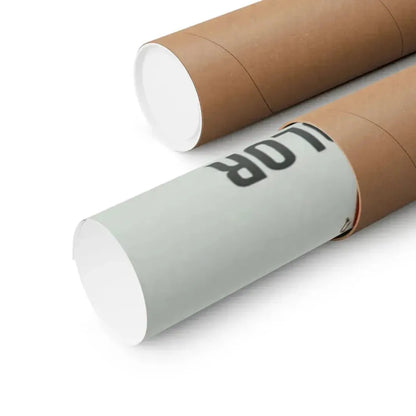 DEVIL'S ANGELS 1967 - Paper Movie Poster - The Sticker Space