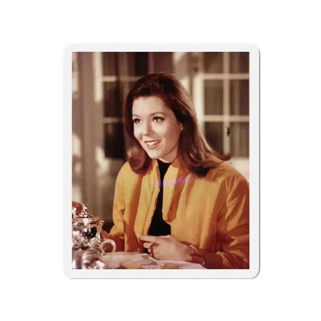 Diana Rigg #35 (Vintage Female Icon) Refrigerator Magnet 2 Inch Die-Cut - The Sticker Space