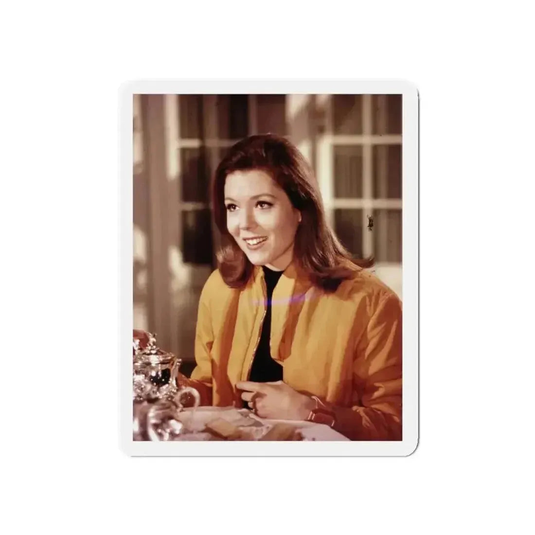 Diana Rigg #35 (Vintage Female Icon) Refrigerator Magnet - The Sticker Space