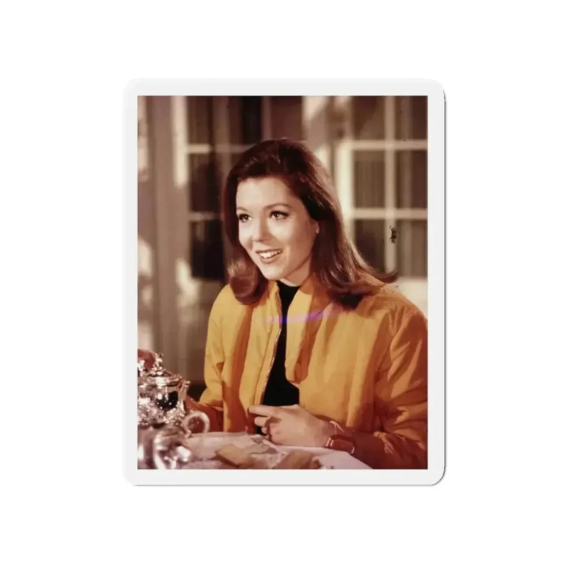 Diana Rigg #35 (Vintage Female Icon) Refrigerator Magnet - The Sticker Space