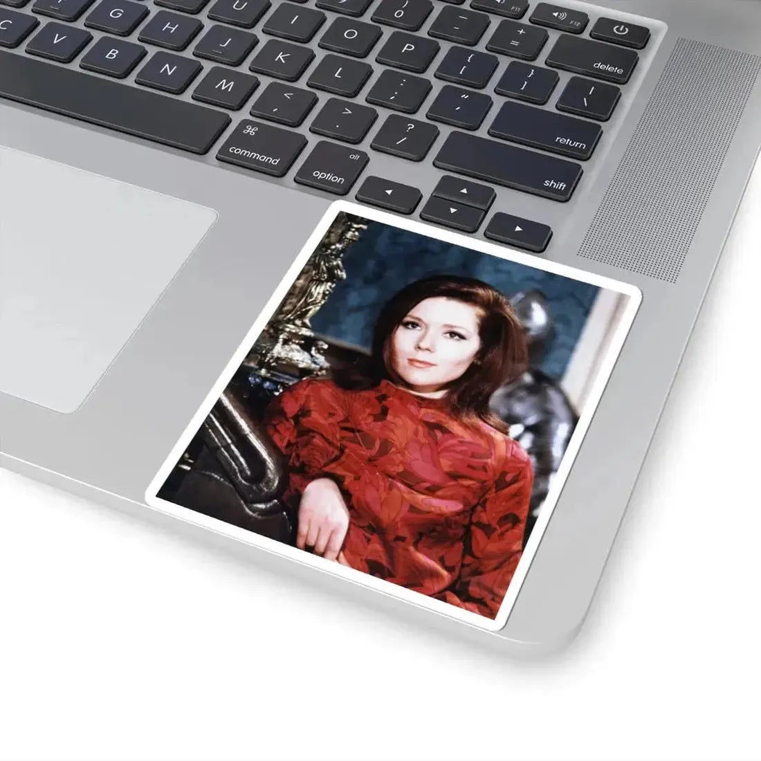 Diana Rigg #36 (Vintage Female Icon) STICKER Vinyl Kiss-Cut Decal - The Sticker Space