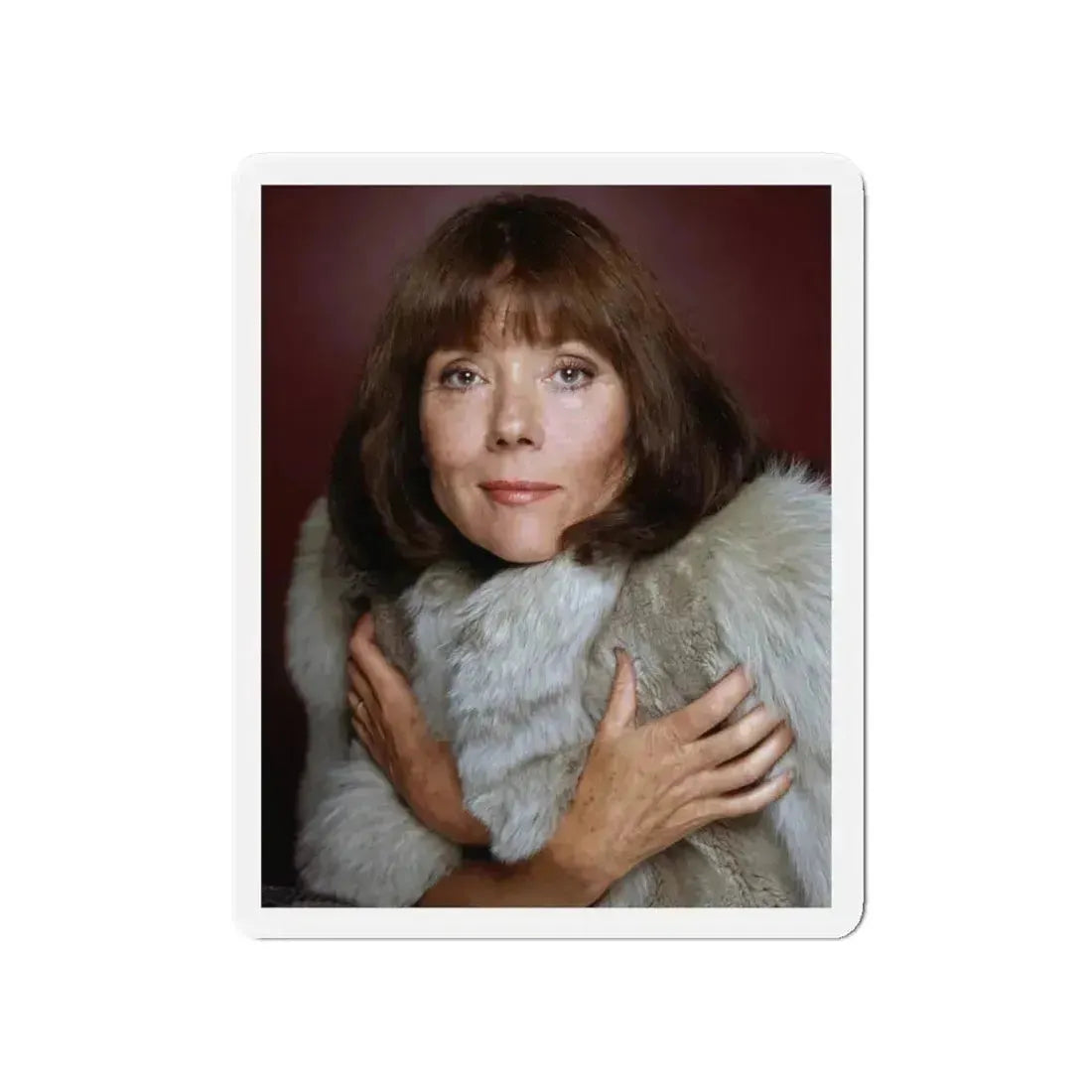 Diana Rigg #47 (Vintage Female Icon) Refrigerator Magnet 4 Inch Die-Cut - The Sticker Space