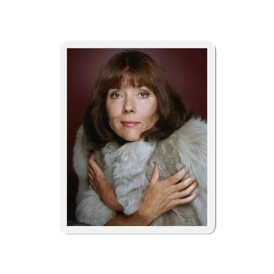 Diana Rigg #47 (Vintage Female Icon) Refrigerator Magnet 5 Inch Die-Cut - The Sticker Space