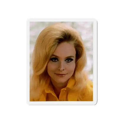 Diane McBain #28 (Vintage Female Icon) Refrigerator Magnet - The Sticker Space