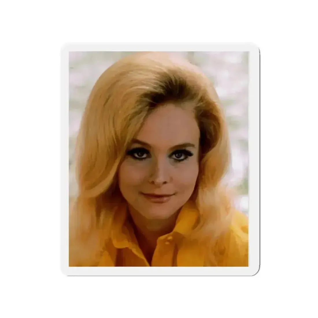 Diane McBain #28 (Vintage Female Icon) Refrigerator Magnet - The Sticker Space