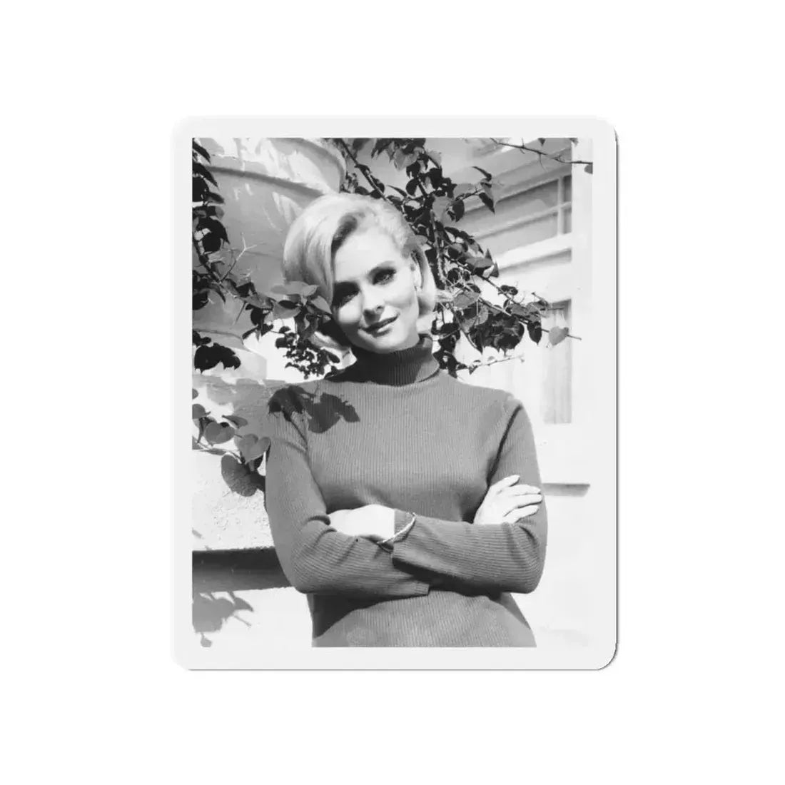 Diane McBain #33 (Vintage Female Icon) Refrigerator Magnet 5 Inch Die-Cut - The Sticker Space