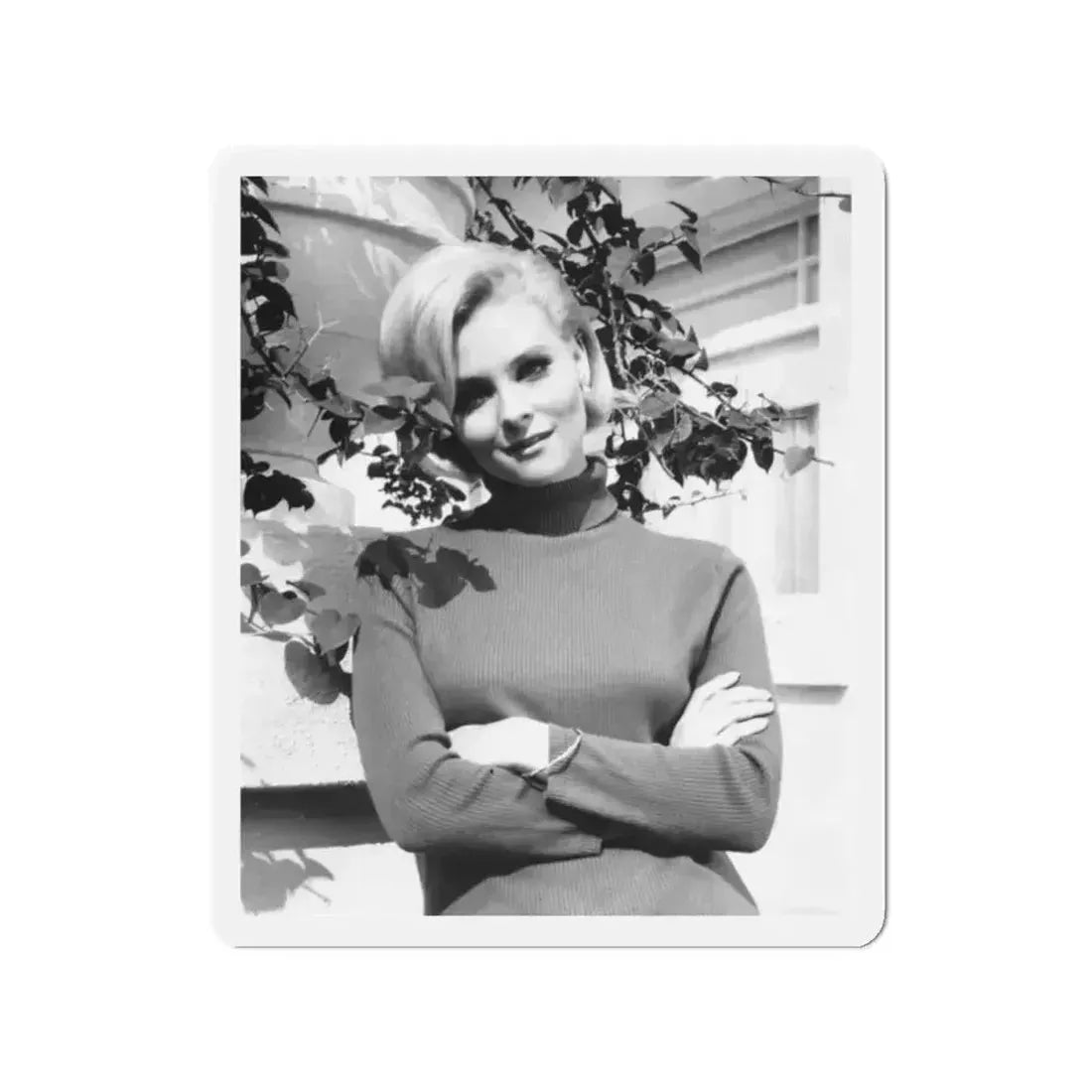 Diane McBain #33 (Vintage Female Icon) Refrigerator Magnet - The Sticker Space