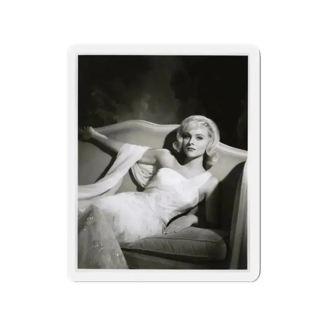 Diane McBain #39 (Vintage Female Icon) Refrigerator Magnet - The Sticker Space