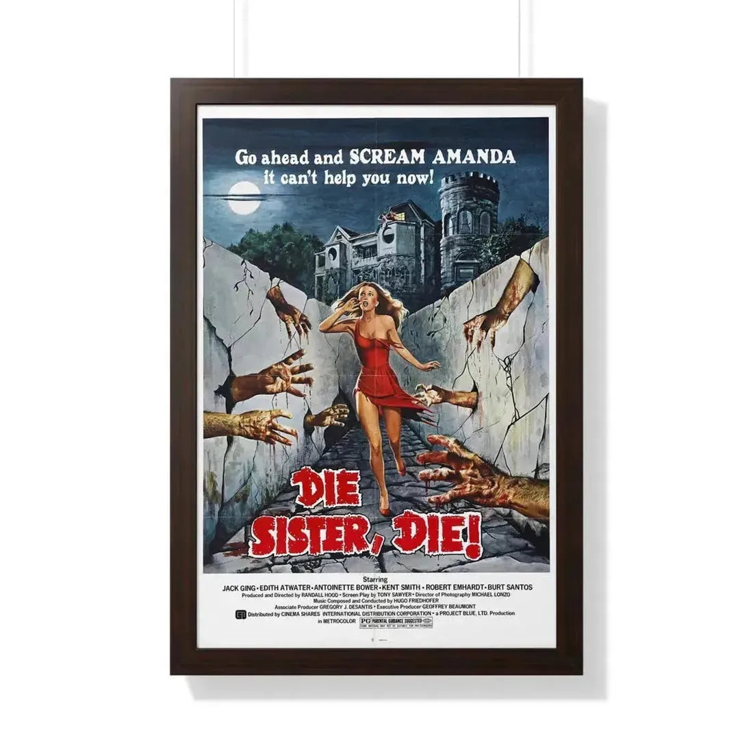 DIE SISTER, DIE! 1972 - Framed Movie Poster - The Sticker Space