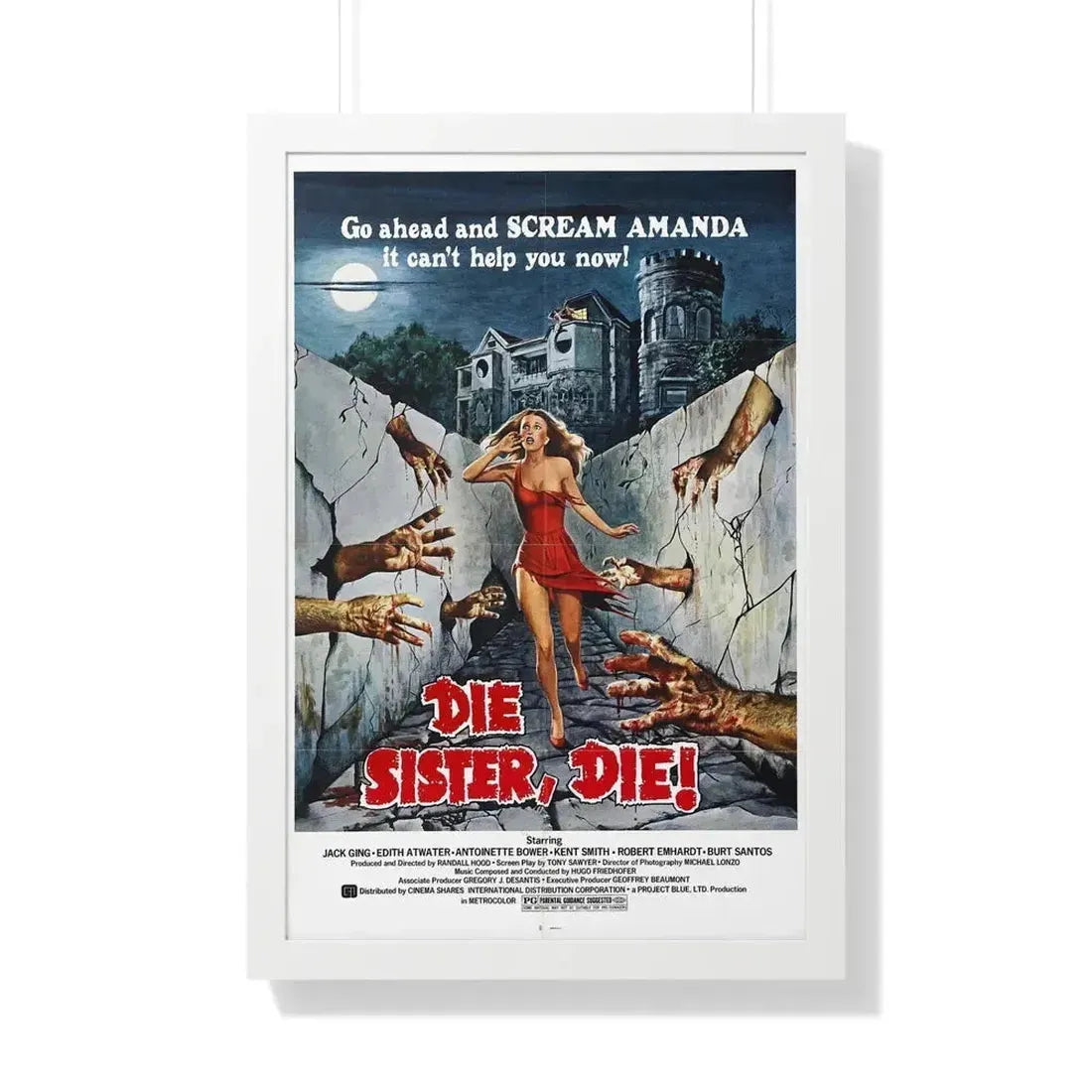 DIE SISTER, DIE! 1972 - Framed Movie Poster - The Sticker Space