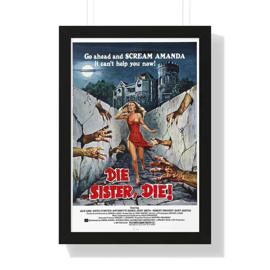 DIE SISTER, DIE! 1972 - Framed Movie Poster - The Sticker Space