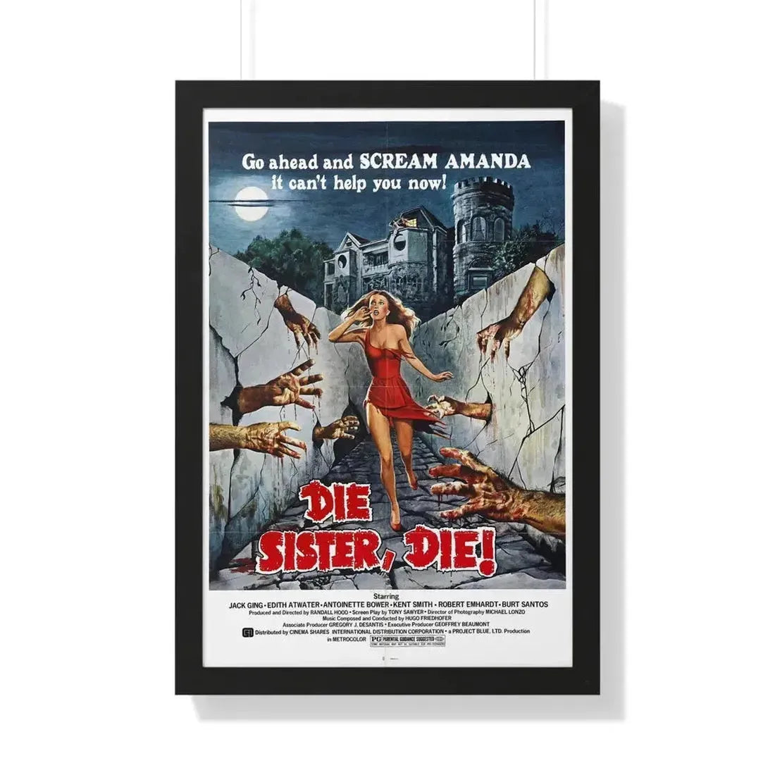 DIE SISTER, DIE! 1972 - Framed Movie Poster - The Sticker Space