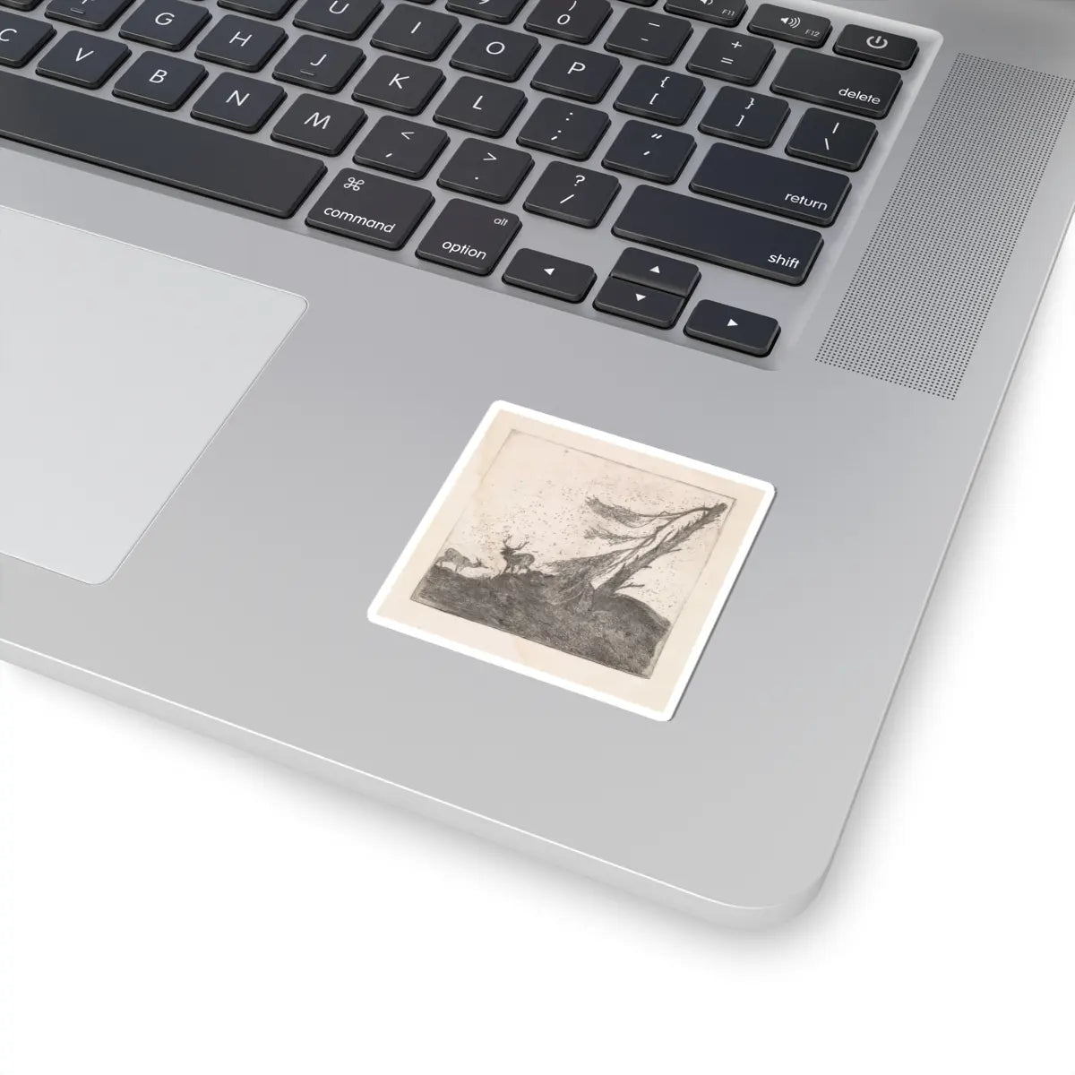 SKU:TSS-STICK-DRKRNL-2X2-3 Sizes:2" × 2" Types:White
