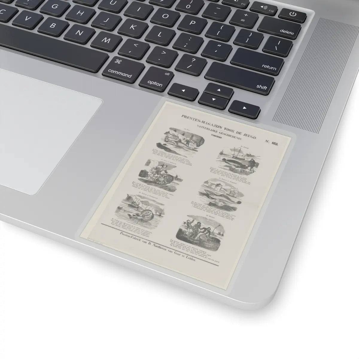 SKU:TSS-STICK-DRKNTH-4X4-14DAH Sizes:4" × 4" Types:Transparent