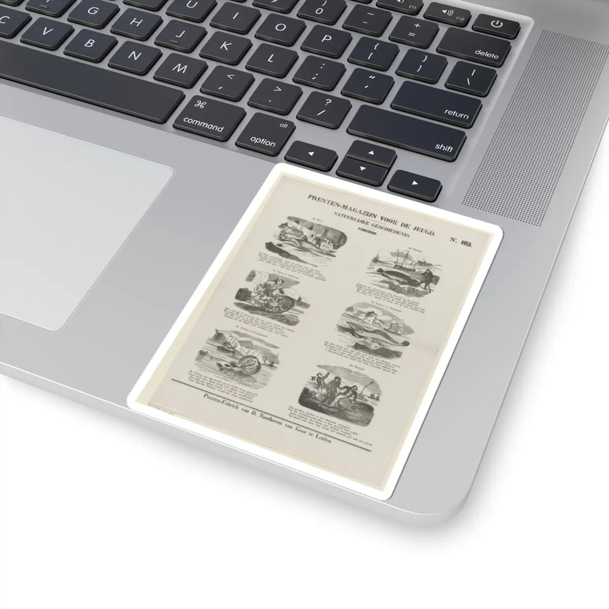 SKU:TSS-STICK-DRKNTH-4X4-16 Sizes:4" × 4" Types:White