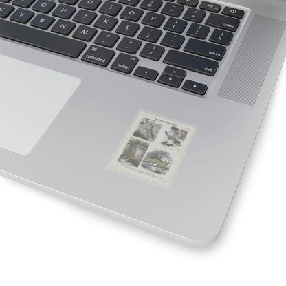 SKU:TSS-STICK-DRKNTH-2X2-14DAO Sizes:2" × 2" Types:Transparent