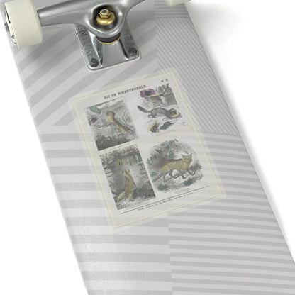 SKU:TSS-STICK-DRKNTH-6X6-14DAO Sizes:6" × 6" Types:Transparent