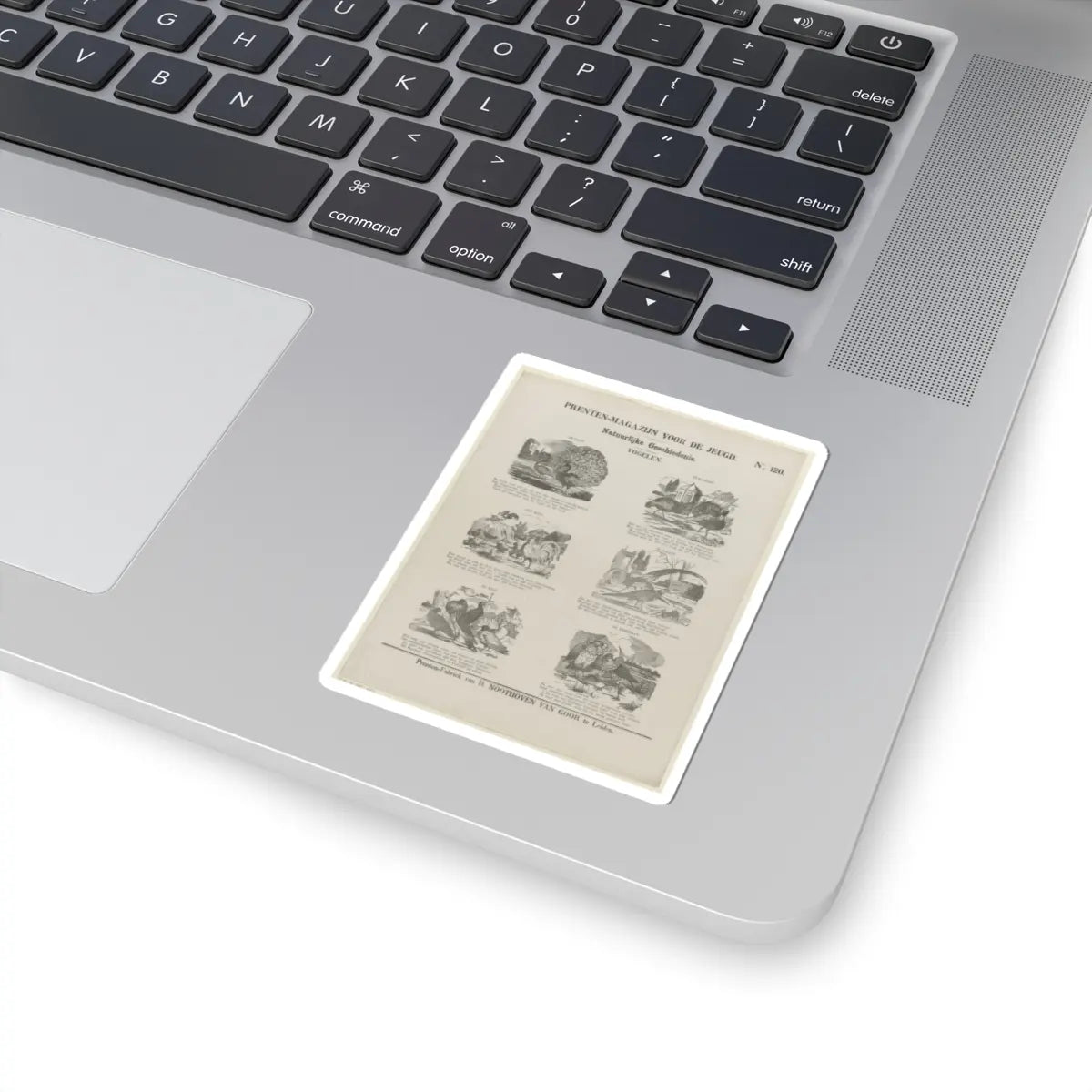 SKU:TSS-STICK-DRKNTH-3X3-42 Sizes:3" × 3" Types:White
