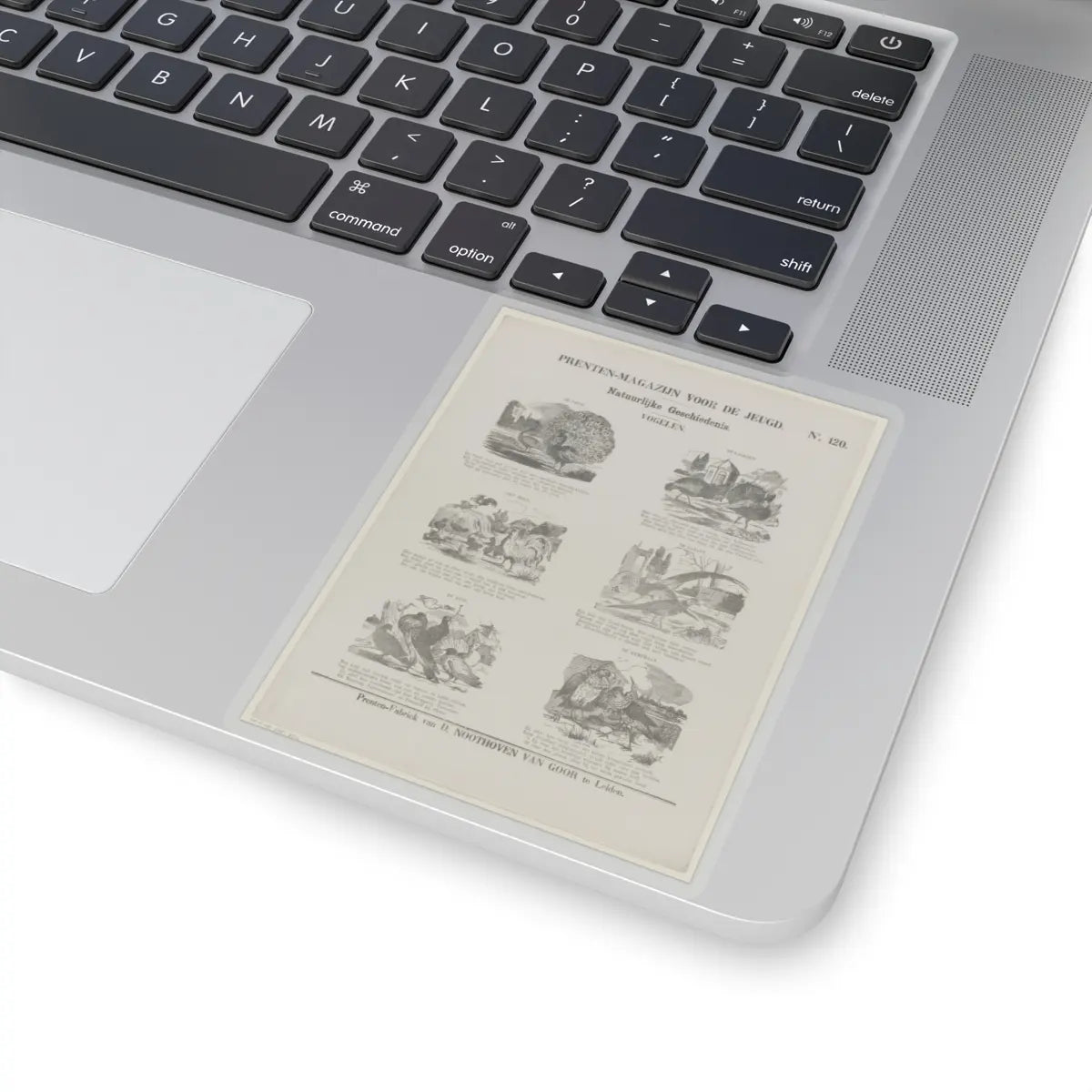 SKU:TSS-STICK-DRKNTH-4X4-14DB7 Sizes:4" × 4" Types:Transparent