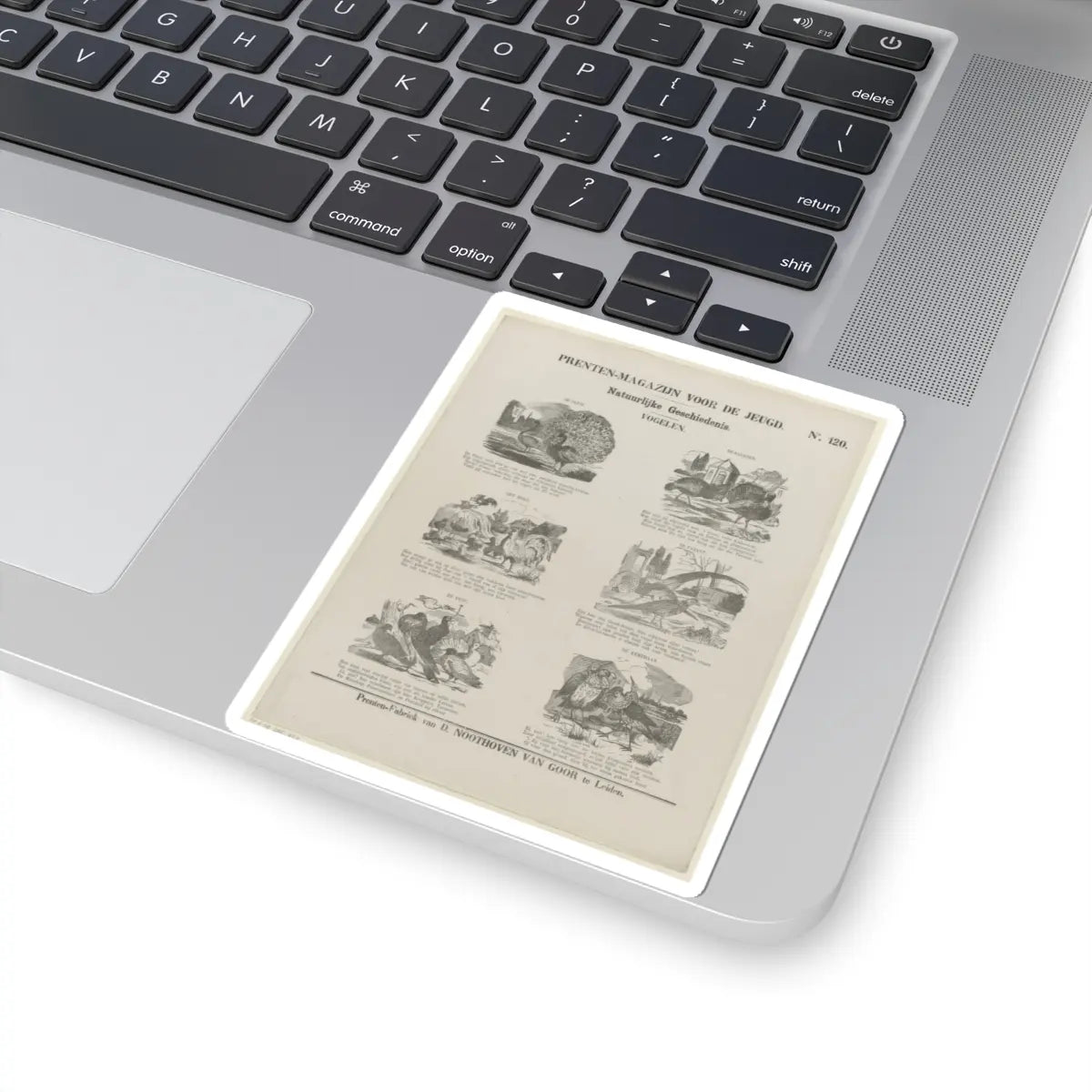 SKU:TSS-STICK-DRKNTH-4X4-42 Sizes:4" × 4" Types:White