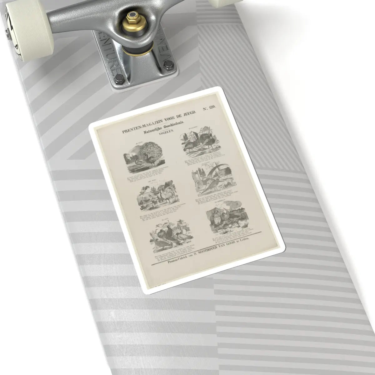 SKU:TSS-STICK-DRKNTH-6X6-42 Sizes:6" × 6" Types:White
