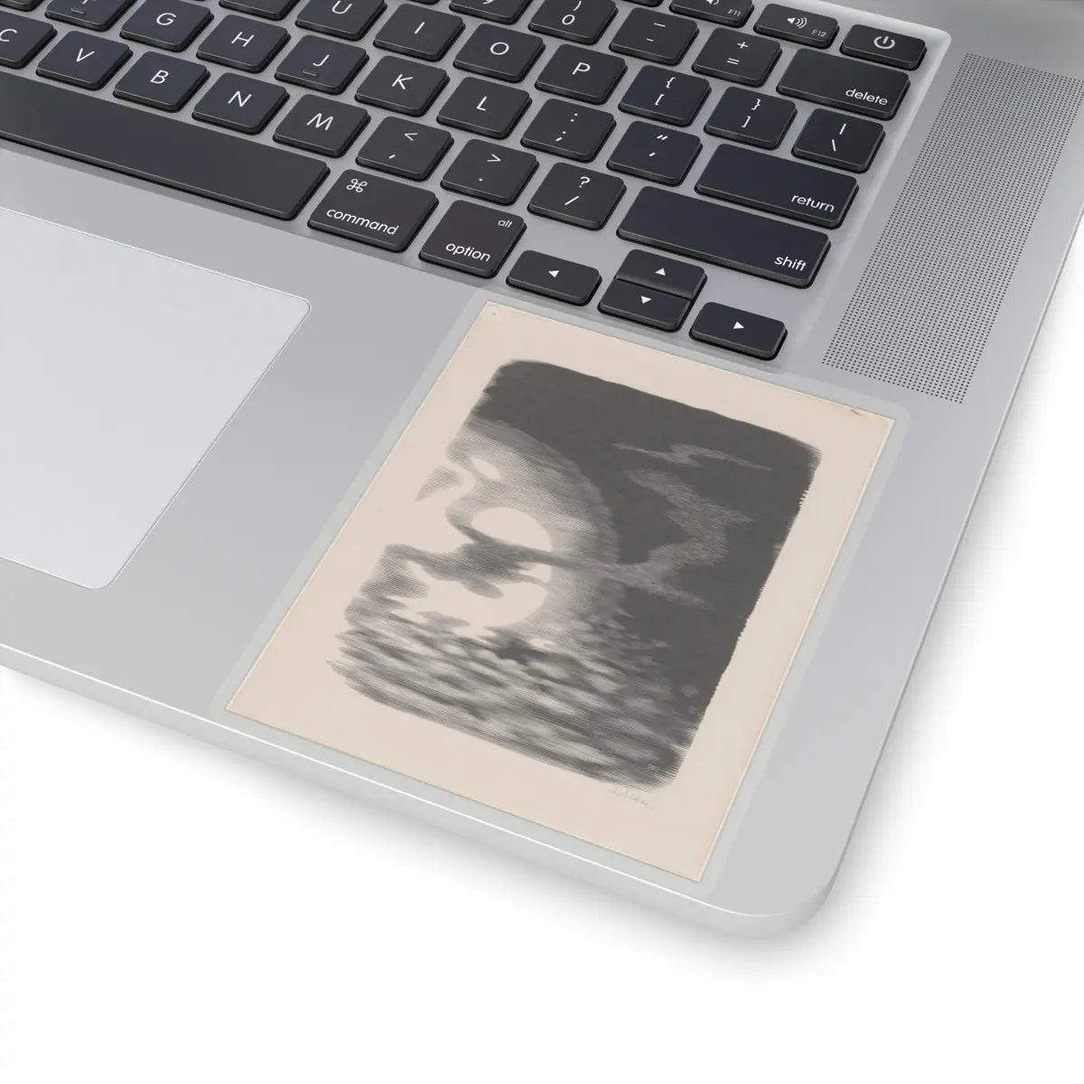 SKU:TSS-STICK-DRKVN-4X4-14DDZ Sizes:4" × 4" Types:Transparent