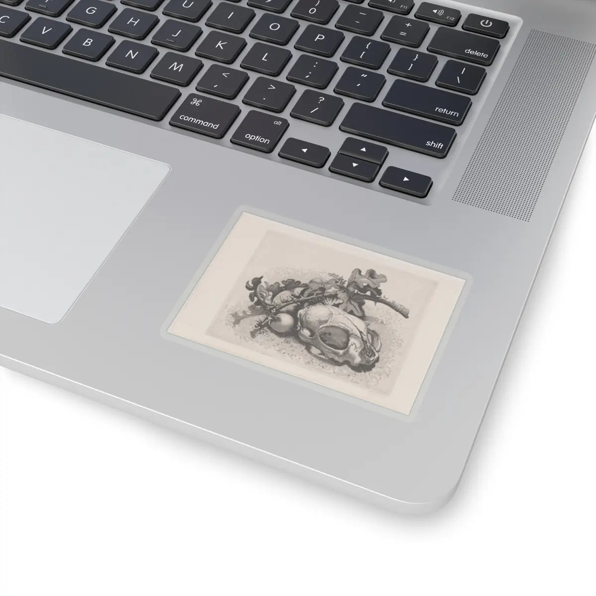 SKU:TSS-STICK-DRKVN-3X3-14DEO Sizes:3" × 3" Types:Transparent