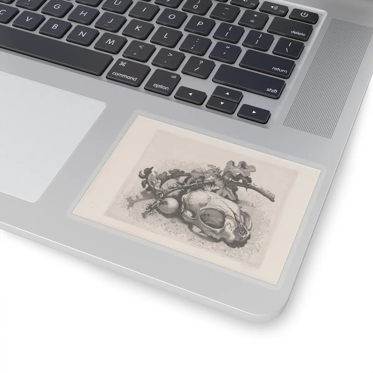 SKU:TSS-STICK-DRKVN-4X4-14DEO Sizes:4" × 4" Types:Transparent