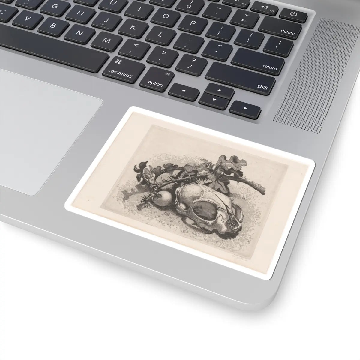 SKU:TSS-STICK-DRKVN-4X4-45 Sizes:4" × 4" Types:White