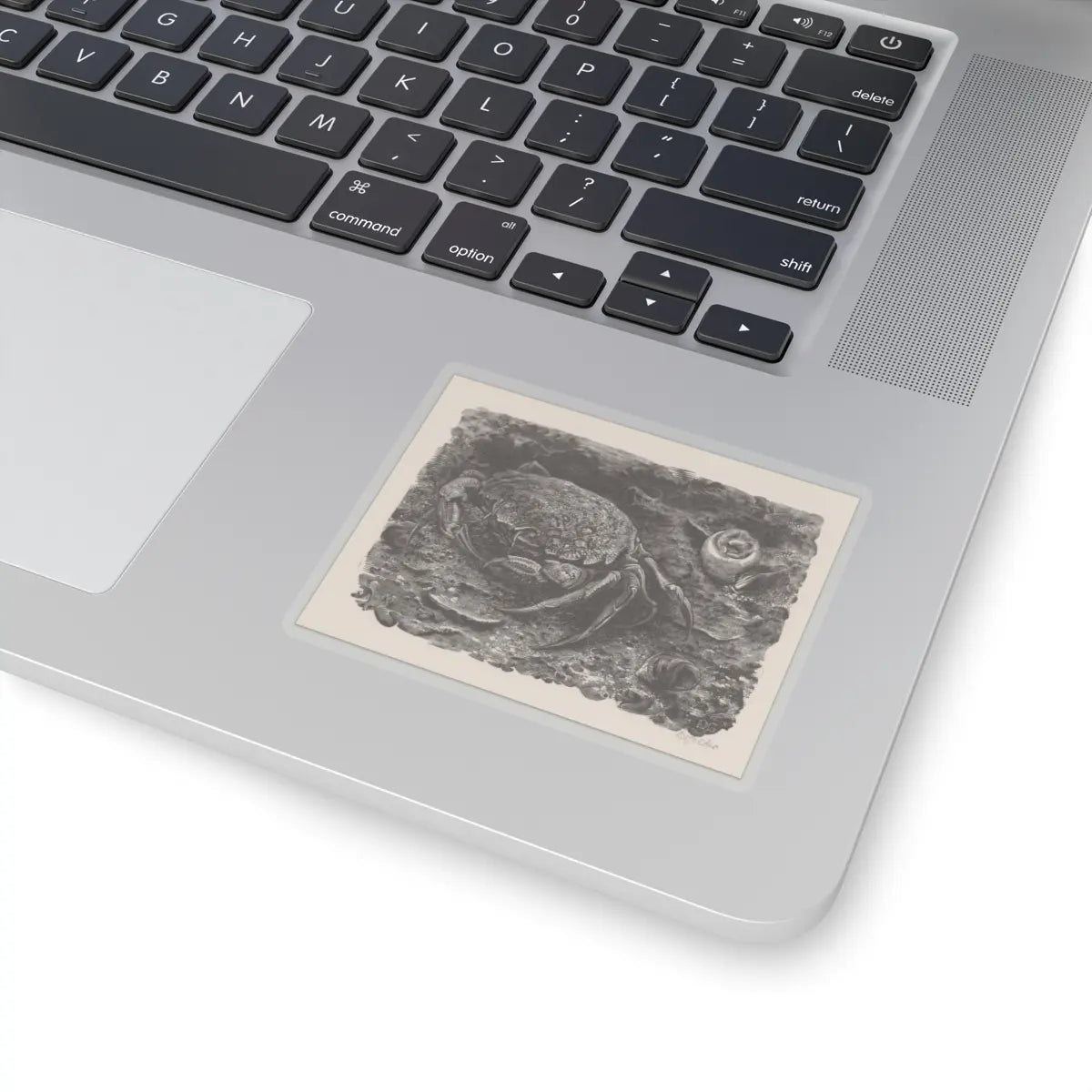 SKU:TSS-STICK-DRKVN-3X3-14DEP Sizes:3" × 3" Types:Transparent