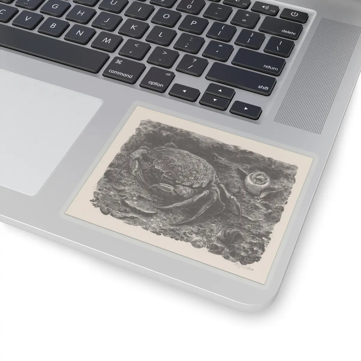 SKU:TSS-STICK-DRKVN-4X4-14DEP Sizes:4" × 4" Types:Transparent
