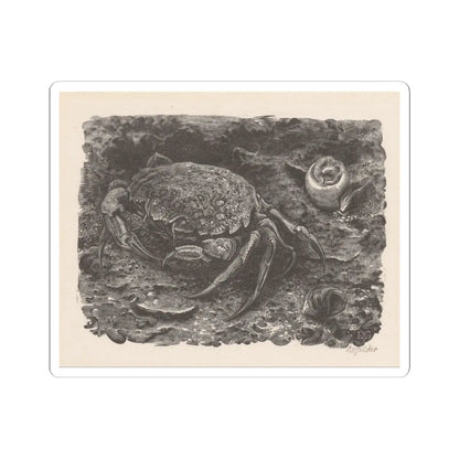 SKU:TSS-STICK-DRKVN-4X4-46 Sizes:4" × 4" Types:White