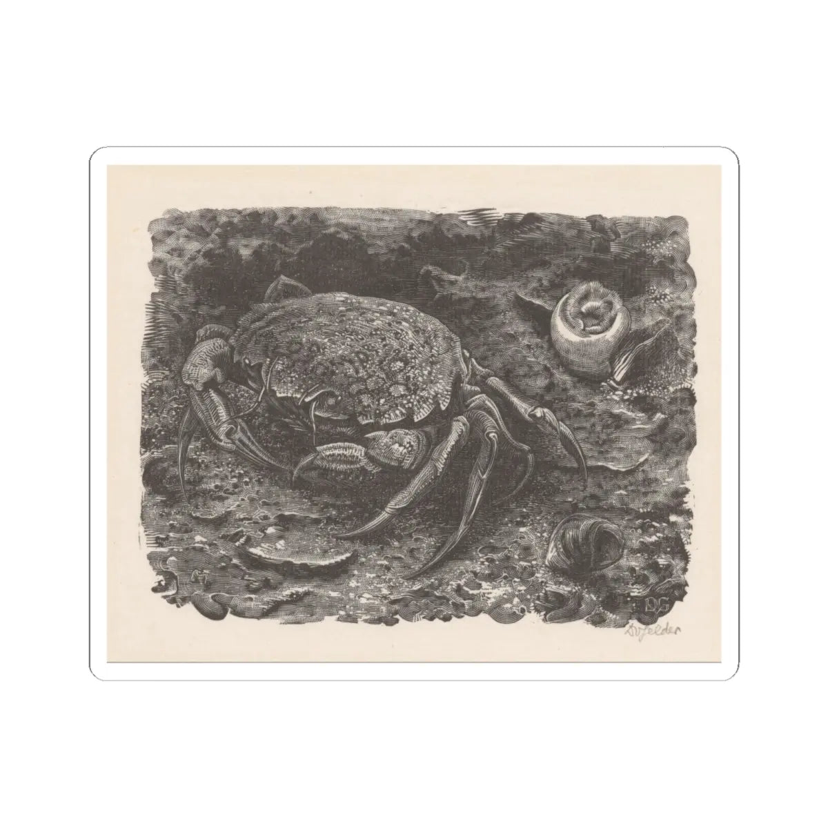 SKU:TSS-STICK-DRKVN-6X6-46 Sizes:6" × 6" Types:White