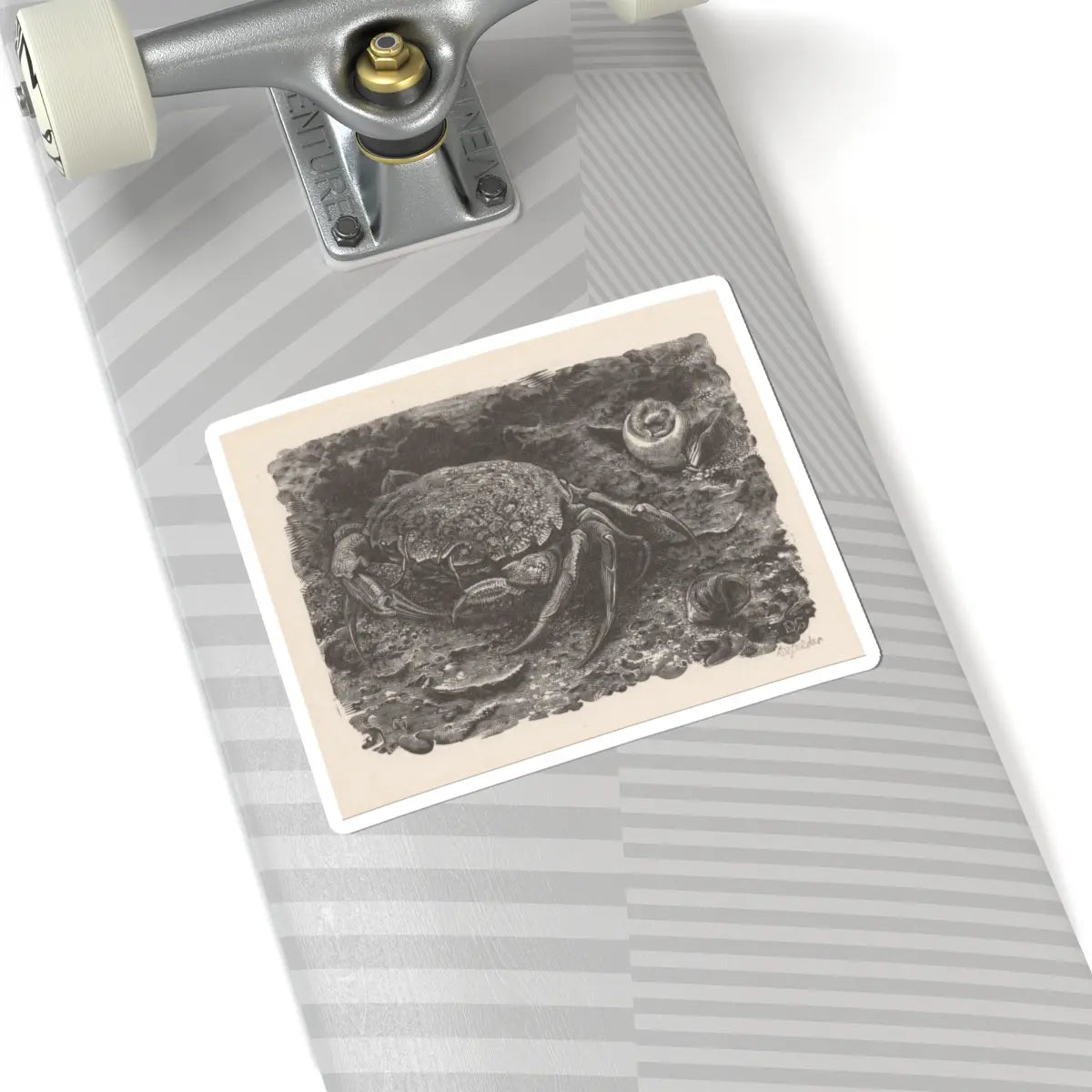 SKU:TSS-STICK-DRKVN-6X6-46 Sizes:6" × 6" Types:White