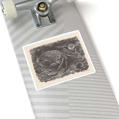 SKU:TSS-STICK-DRKVN-6X6-46 Sizes:6" × 6" Types:White