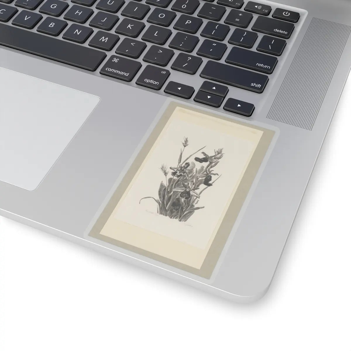 SKU:TSS-STICK-DRKVN-4X4-14DFG Sizes:4" × 4" Types:Transparent