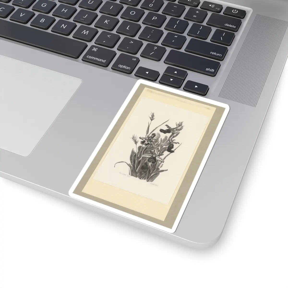 SKU:TSS-STICK-DRKVN-4X4-73 Sizes:4" × 4" Types:White