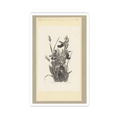SKU:TSS-STICK-DRKVN-6X6-73 Sizes:6" × 6" Types:White