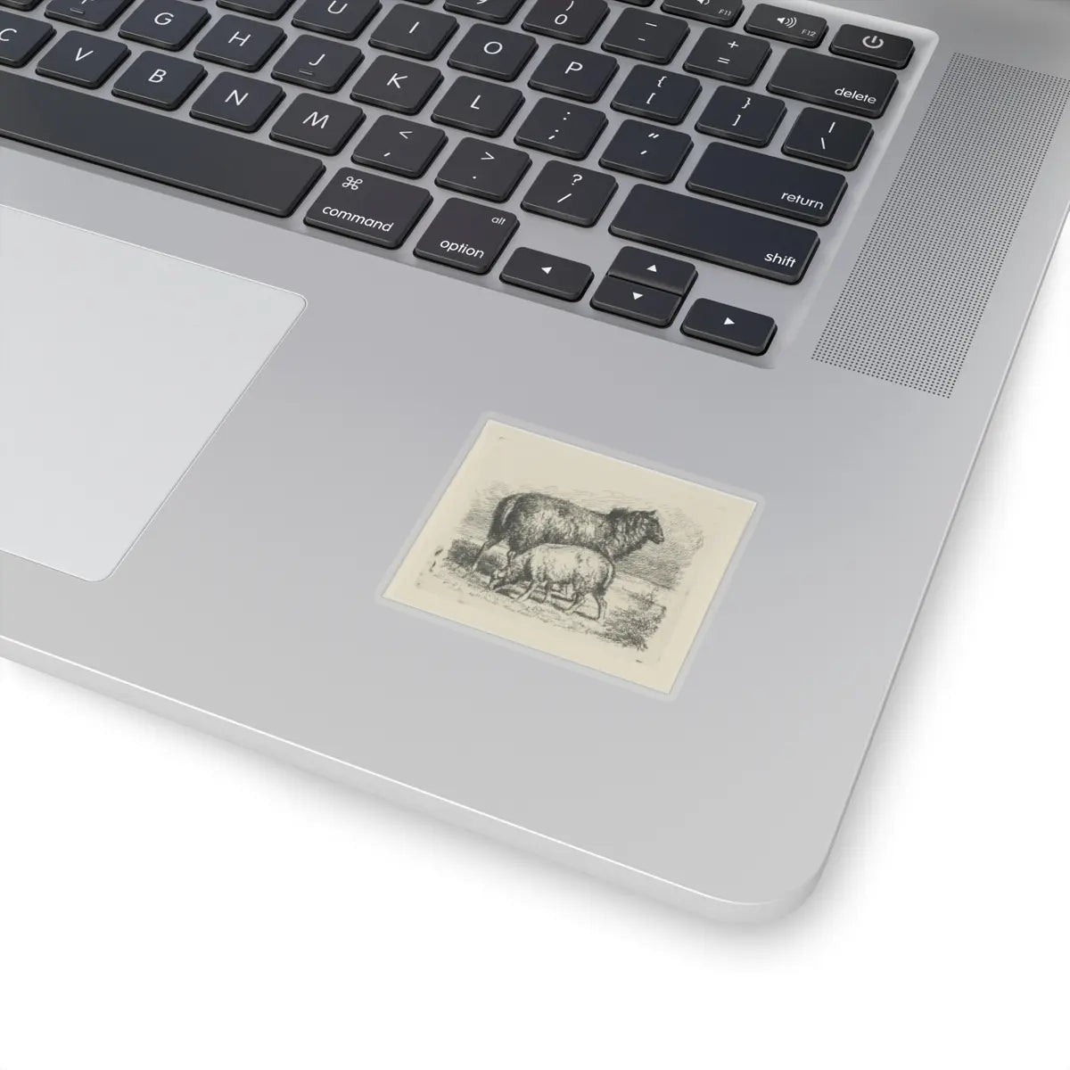 SKU:TSS-STICK-DRKVN-2X2-14DG4 Sizes:2" × 2" Types:Transparent