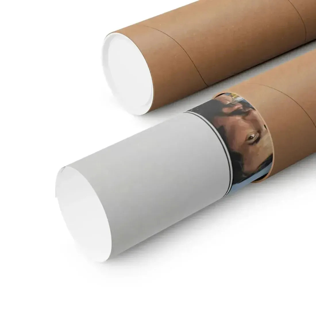 DOC SAVAGE THE MAN  OF BRONZE 1975 - Paper Movie Poster - The Sticker Space