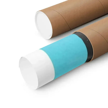 DOCTOR BLOOD'S COFFIN 1961 - Paper Movie Poster - The Sticker Space