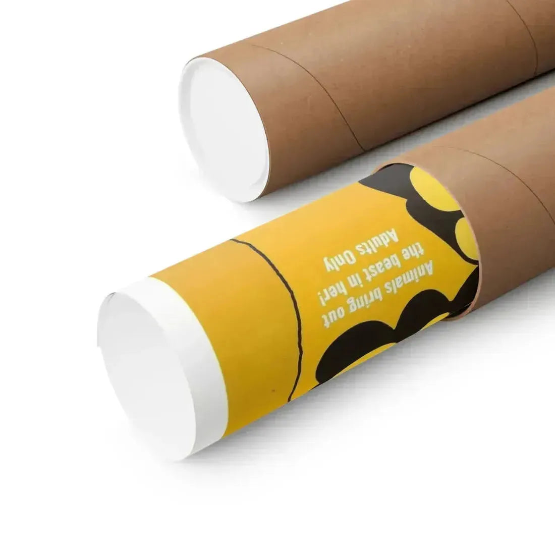 DOGGIE BAG 1969 - Paper Movie Poster - The Sticker Space