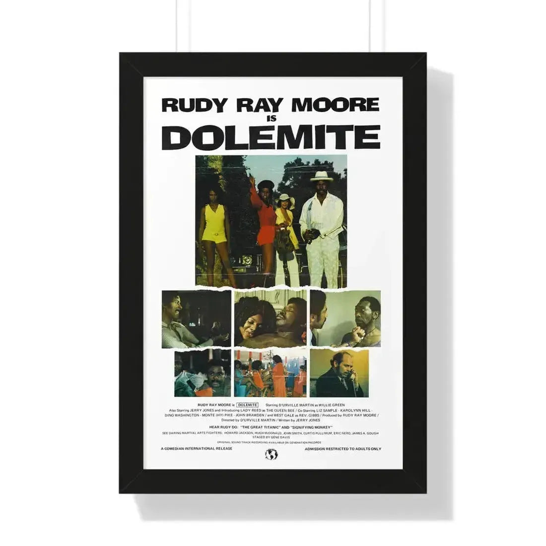 DOLEMITE (2) 1975 - Framed Movie Poster 16″ x 24″ Black - The Sticker Space