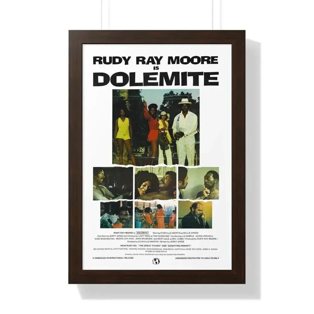 DOLEMITE (2) 1975 - Framed Movie Poster 16″ x 24″ Walnut - The Sticker Space