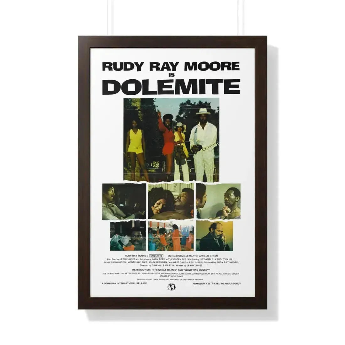 DOLEMITE (2) 1975 - Framed Movie Poster - The Sticker Space