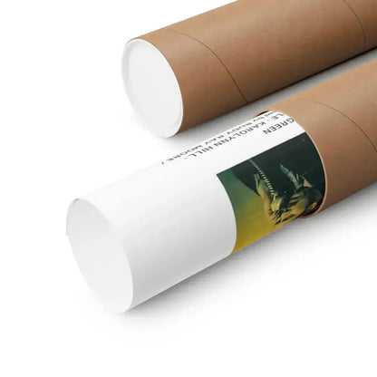 DOLEMITE (2) 1975 - Paper Movie Poster - The Sticker Space